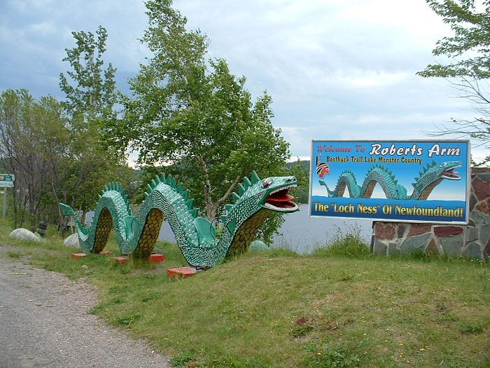 CRESSIE (NEWFOUNDLAND) Cryptopia Exploring The Hidden World